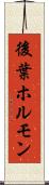 後葉ホルモン Scroll