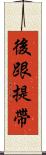 後跟提帶 Scroll