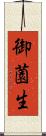 御薗生 Scroll