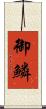 御鱗 Scroll