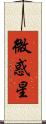 微惑星 Scroll