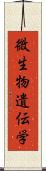 微生物遺伝学 Scroll