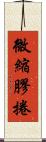 微縮膠捲 Scroll