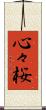 心々桜 Scroll