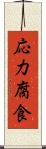 応力腐食 Scroll