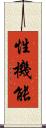 性機能 Scroll