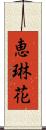 恵琳花 Scroll