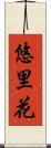 悠里花 Scroll