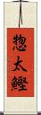 惣太鰹 Scroll