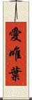 愛唯葉 Scroll