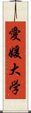 愛媛大学 Scroll