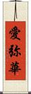 愛弥華 Scroll