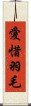 愛惜羽毛 Scroll