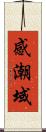 感潮域 Scroll