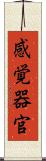 感覚器官 Scroll
