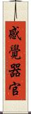 感覺器官 Scroll