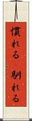 慣れる(P) Scroll