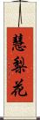 慧梨花 Scroll