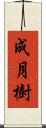 成月樹 Scroll