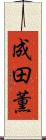 成田薫 Scroll