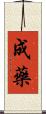 成藥 Scroll