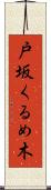 戸坂くるめ木 Scroll