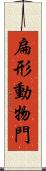 扁形動物門 Scroll