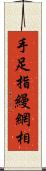 手足指縵網相 Scroll