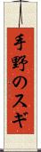 手野のスギ Scroll