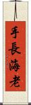 手長海老 Scroll