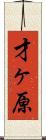 才ヶ原 Scroll