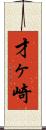 才ヶ崎 Scroll