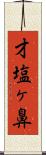 才塩ヶ鼻 Scroll