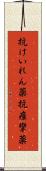抗けいれん薬 Scroll