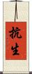 抗生 Scroll