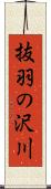 抜羽の沢川 Scroll
