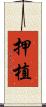 押植 Scroll