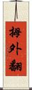 拇外翻 Scroll