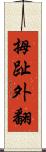 拇趾外翻 Scroll