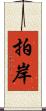 拍岸 Scroll