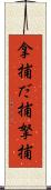 拿捕 Scroll