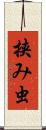 挟み虫 Scroll