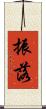 振落 Scroll