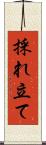 採れ立て Scroll