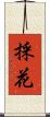 採花 Scroll