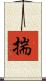 揣 Scroll