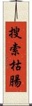 搜索枯腸 Scroll