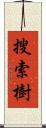 搜索樹 Scroll