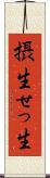 摂生 Scroll