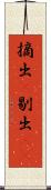 摘出(P) Scroll